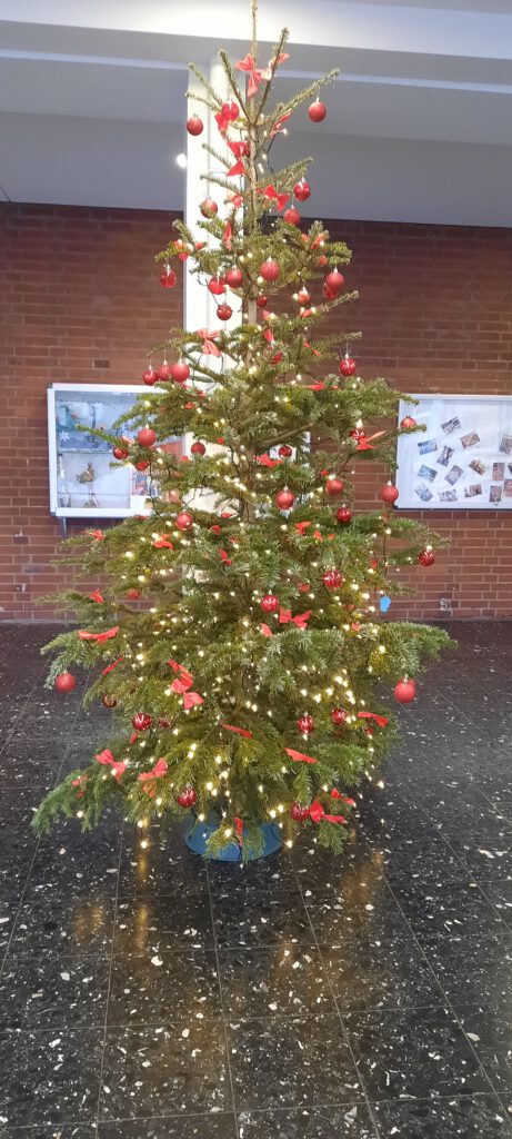 Weihnachtsbaum 2022