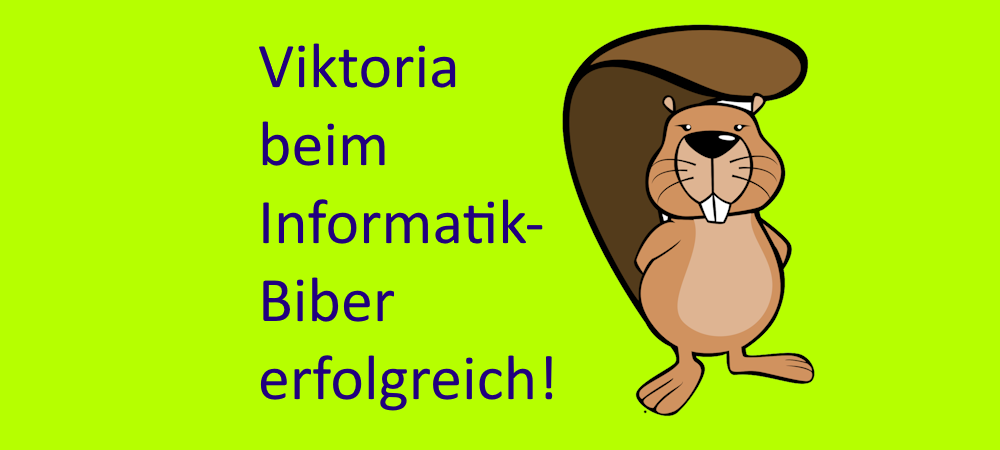 Informatik-Biber - Teaser